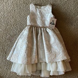 Rare Editions 4t Dress